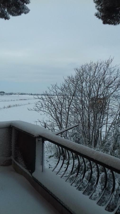 Le Anfore Marino Exteriör bild